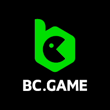 Download the BC Game SK App Your Ultimate Gaming Companion